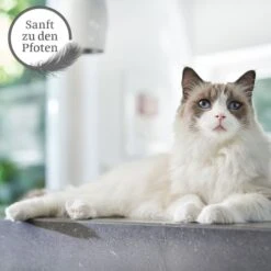 ZooRoyal Tigrooo Mit Babypuderduft -Heimtierbedarf Angebote tigrooo babypuderduft neu 12kg 3