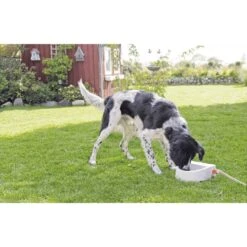 Trixie Automatische Outdoor-Tränke 1,5 L -Heimtierbedarf Angebote trixie automatische outdoor tranke 1 5l 4