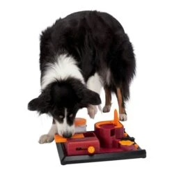 Trixie Dog Activity Strategiespiel Poker Box 2 -Heimtierbedarf Angebote trixie dog activity strategiespiel poker box 2 03