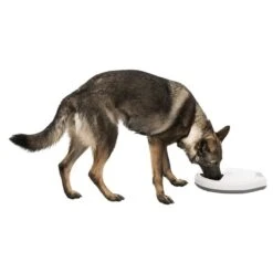 Trixie Futterautomat TX5 -Heimtierbedarf Angebote trixie tx5 futterautomat hund frisst