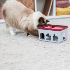 Trixie Cat Activity Rod Box -Heimtierbedarf Angebote trixie cat activity rod box 3