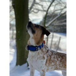 WowWow Professional Halsband Blau -Heimtierbedarf Angebote wowwow halsband alle 2