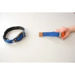 WowWow Professional Halsband Blau -Heimtierbedarf Angebote wowwow halsband blau 2