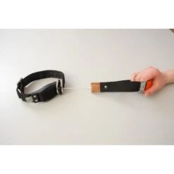 WowWow Professional Halsband Rot -Heimtierbedarf Angebote wowwow halsband schwarz 260b4a05c2c204