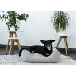 ZooRoyal In- & Outdoor Haustierbett Sam 61x48 Cm Grau 17 ZooRoyal In- & Outdoor Haustierbett Sam 61x48 Cm Grau -Heimtierbedarf Angebote zooroyal in und outdoor haustierbett sam 61x84cmbazHkLsIh5zYS