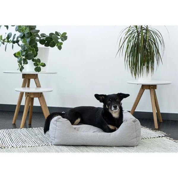 ZooRoyal In- & Outdoor Haustierbett Sam 61x48 Cm Grau 5 ZooRoyal In- & Outdoor Haustierbett Sam 61x48 Cm Grau – Bild 3