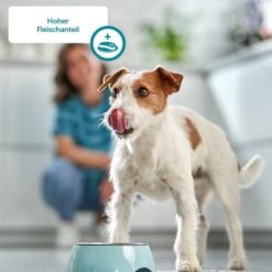 ZooRoyal Saftige Pastete Mono-Protein Rind -Heimtierbedarf Angebote zooroyal monoprotein saftige pastete 175g 5c0CkbfgvxYnHV