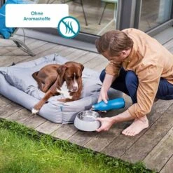 ZooRoyal Saftige Pastete Mono-Protein Rind -Heimtierbedarf Angebote zooroyal monoprotein saftige pastete 175g 6MecLYBlXZRmT1