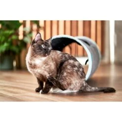 ZooRoyal Rascheltunnel Maja Anthrazit Ø 30 X 90 Cm -Heimtierbedarf Angebote zooroyal rascheltunnel maja anthrazit O 30 x 90 cm 5