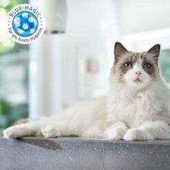 ZooRoyal Tigrooo Blue Magic -Heimtierbedarf Angebote zooroyal tigrooo blue magic neu 3