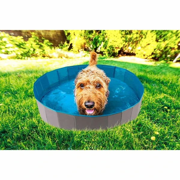 ZooRoyal Hundepool 7 ZooRoyal Hundepool – Bild 5