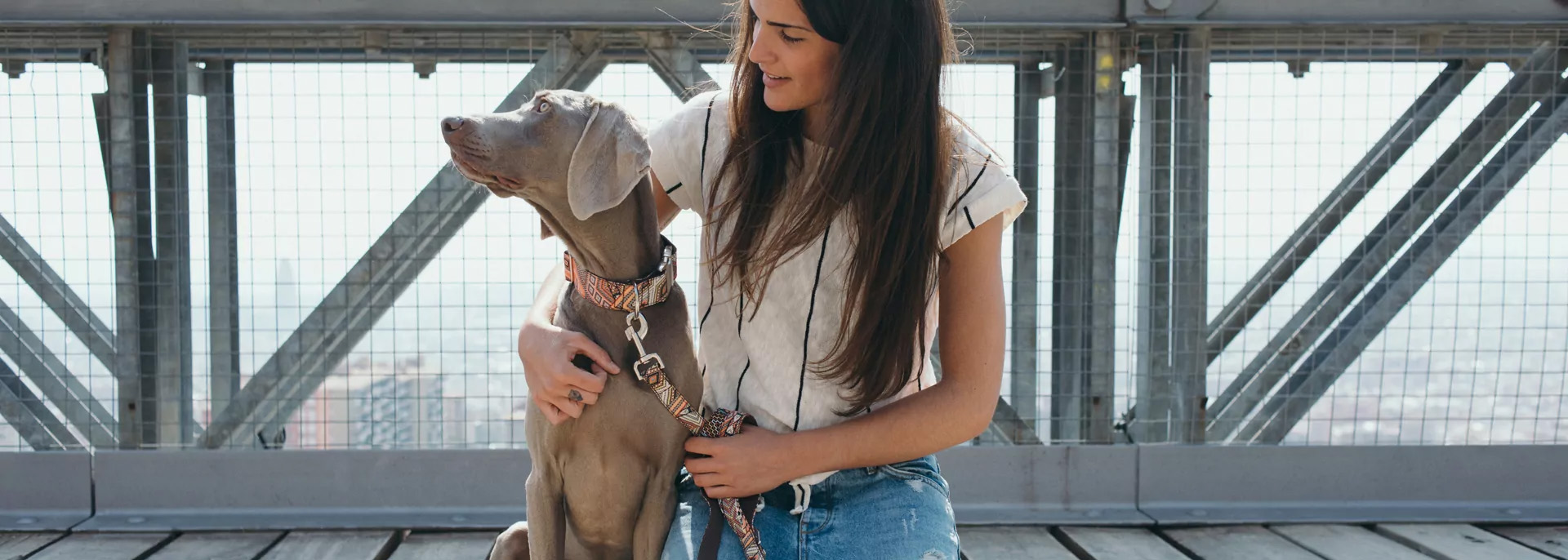 Heimtierbedarf Angebote -Heimtierbedarf Angebote 1